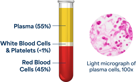 Illustration showing blood and plasma composition: plasma (55%), white blood cells and platelets (<1%), and red blood cells (45%), and light micrograph of plasma cells at 100x magnification