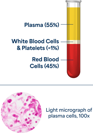 Plasma-Graphic-mobile