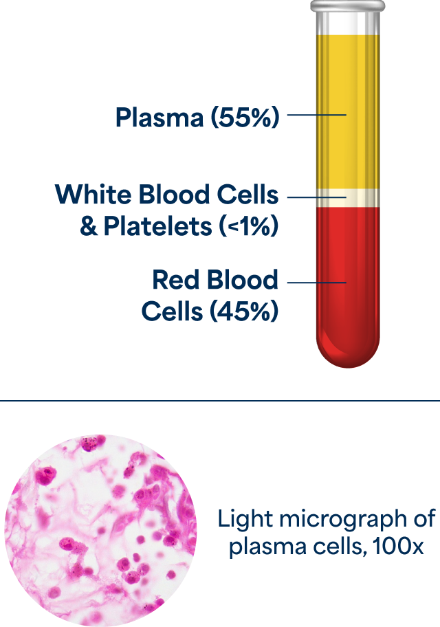 What is Plasma? :: ADMA BioCenters